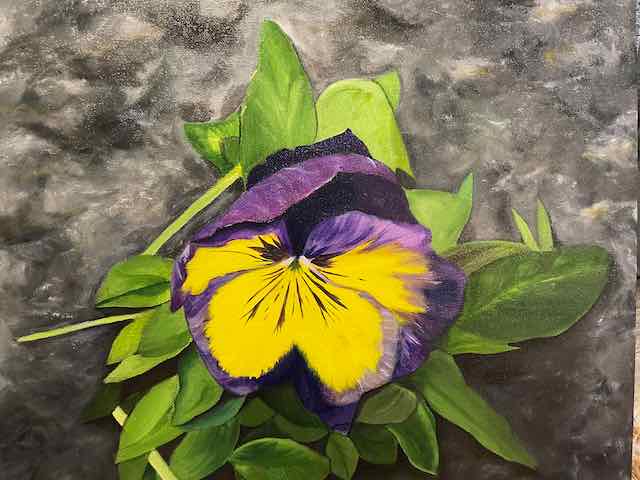 The Viola
