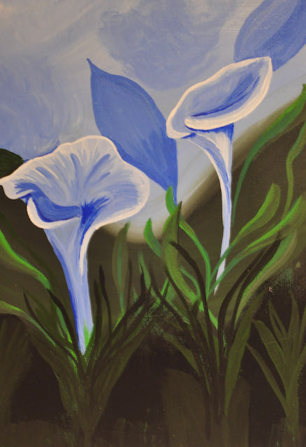 Calla Lillies