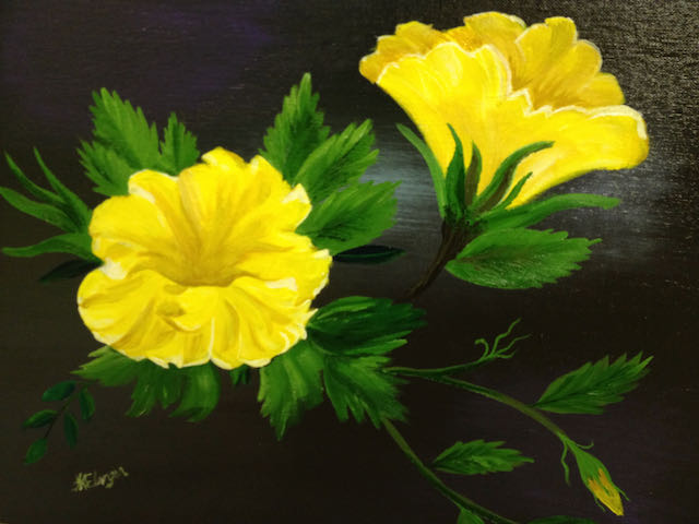 Yellow Hibiscus