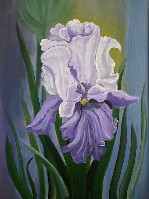 Purple Iris