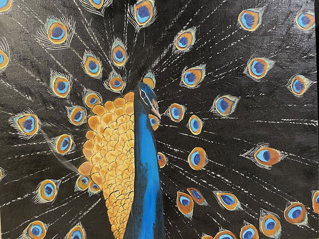 Peacock