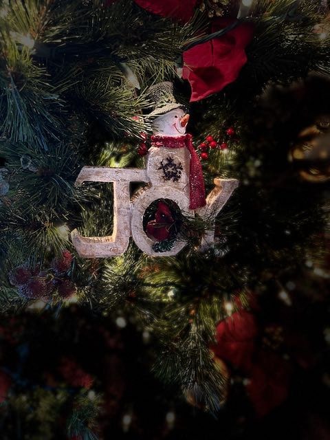 Christmas Ornament three